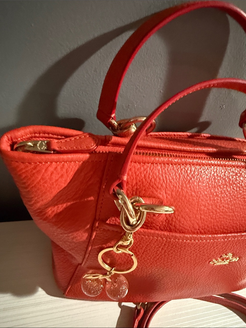 Coach Mini Ellis Tote is crafted from pebbled leather - Picture 6 of 11